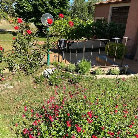 Casa Diana לינה וארוחת בוקר טרקיניה