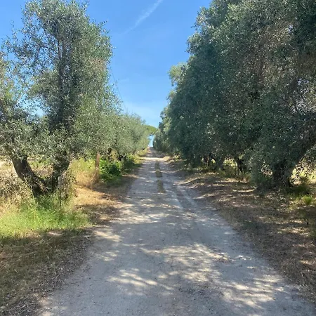 Casa Diana 4*